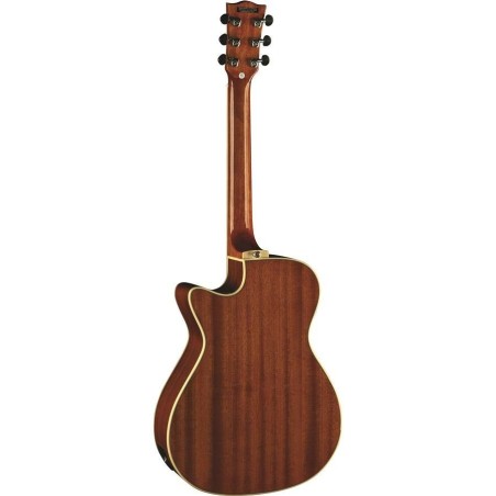 Eko One A150CE Vintage Burst