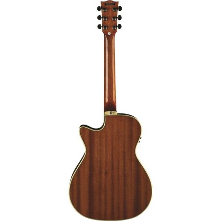 Eko One A150CE Vintage Burst