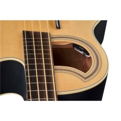Warwick Alien 4