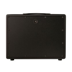 PRS Mark Tremonti Cabinet