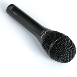 Audix VX10
