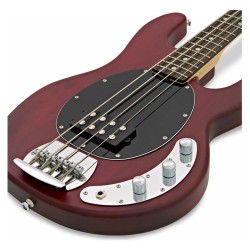 Sterling by Music Man Stingray Ray4 Walnut Satin
