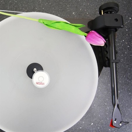 Ortofon Libelle