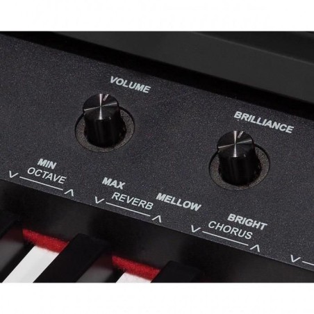 Medeli DP-460K