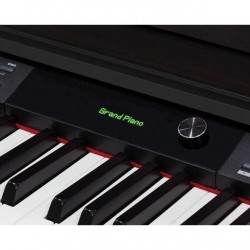 Medeli DP-460K