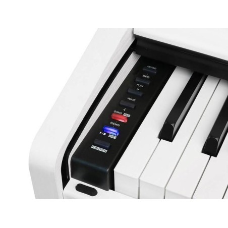 Medeli DP-260-WH