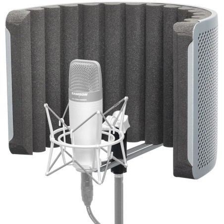Samson RC10
