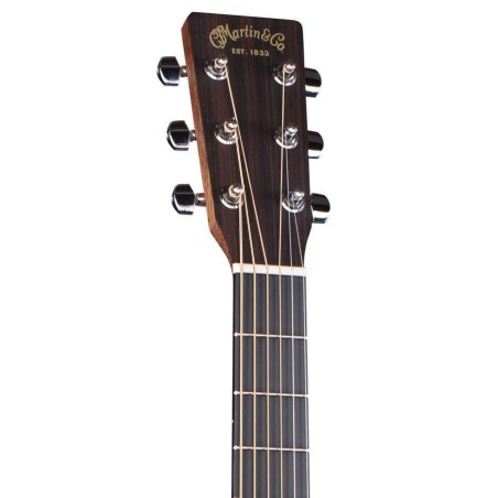 Martin D-10E Sapele