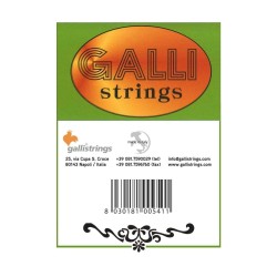 Galli S020