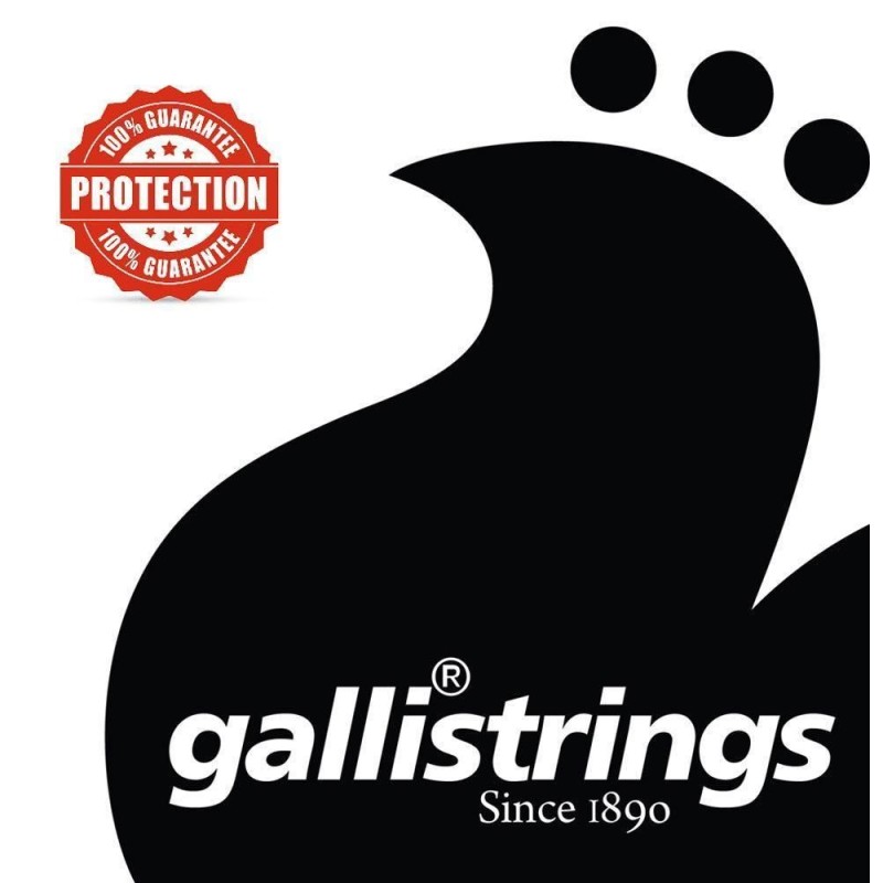 Galli OV80