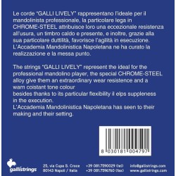 Galli LE520