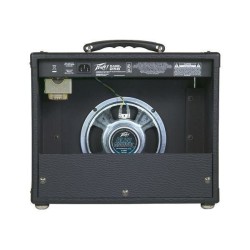 Peavey Rage 258