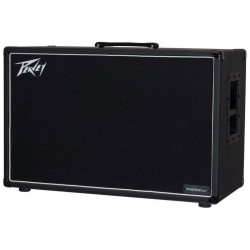 Peavey Invective 212