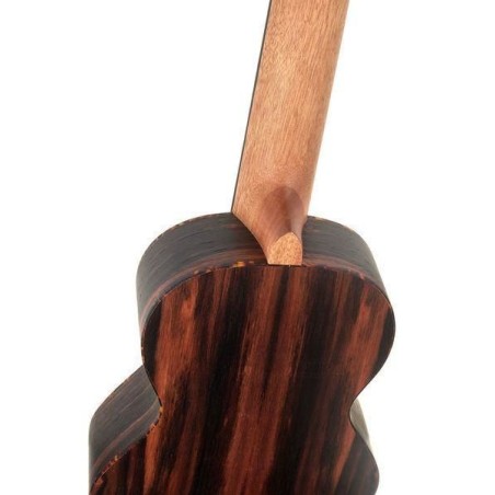 Ortega RGL5EB