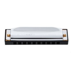 Hohner Special 20 Country E