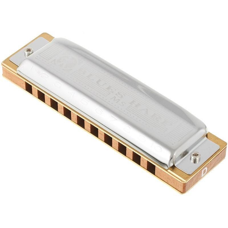 Hohner Blues Harp D