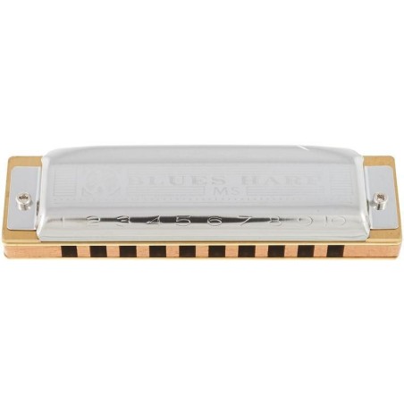 Hohner Blues Harp D