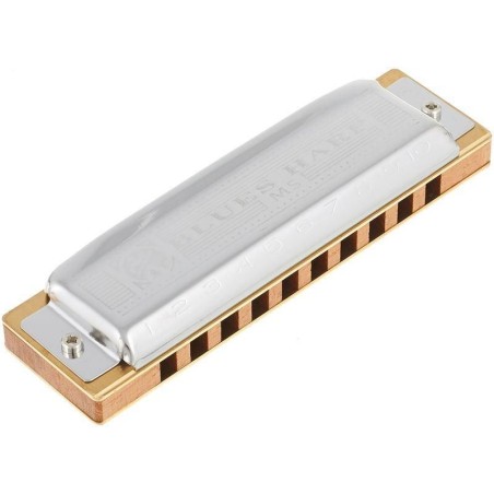 Hohner Blues Harp D