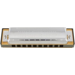 Hohner Big River Harp G