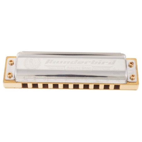 Hohner Marine Band Thunderbird Low Eb