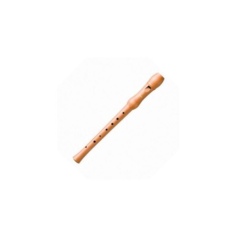 Hohner B9501
