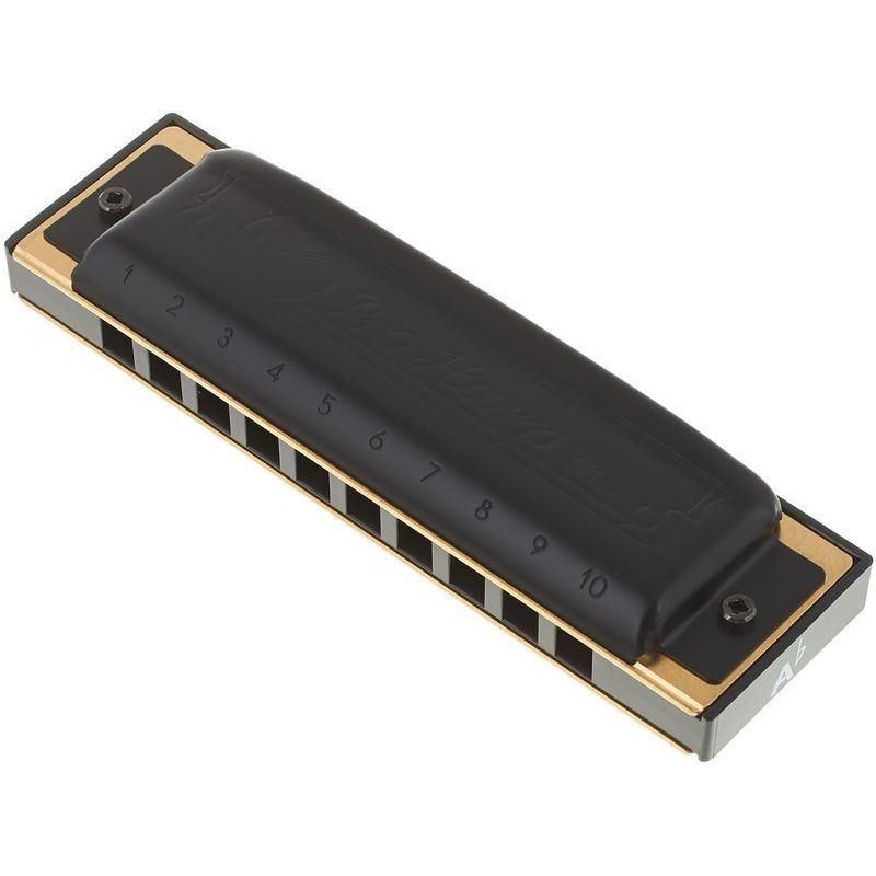 Hohner Pro Harp Ab