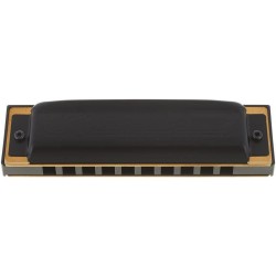 Hohner Pro Harp Ab
