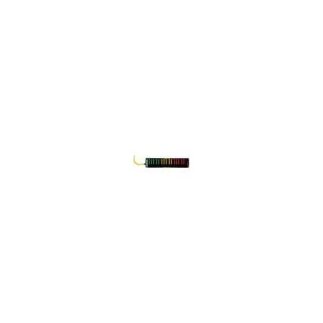 Hohner AirBoard Rasta 37