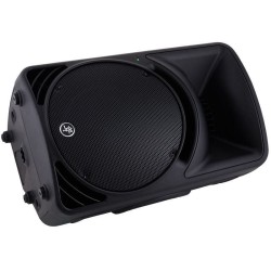 MACKIE SRM450 V3