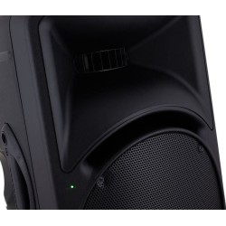 MACKIE SRM450 V3