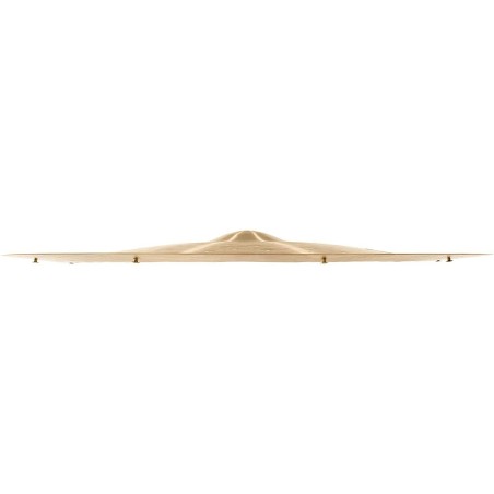 Meinl B22JCHR