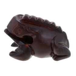 Meinl FROG-M
