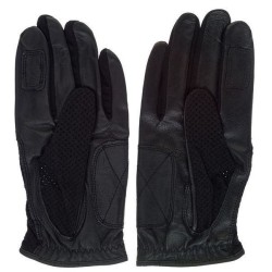Meinl MDG-L
