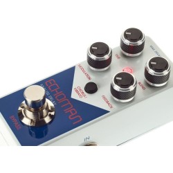 XViVE V21 Echoman