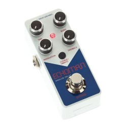 XViVE V21 Echoman
