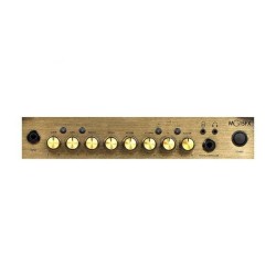 Marshall MG15FX MG Gold