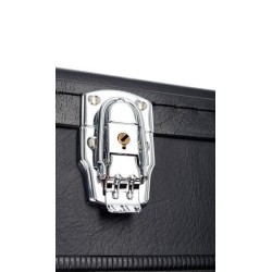 Epiphone Case For Firebird