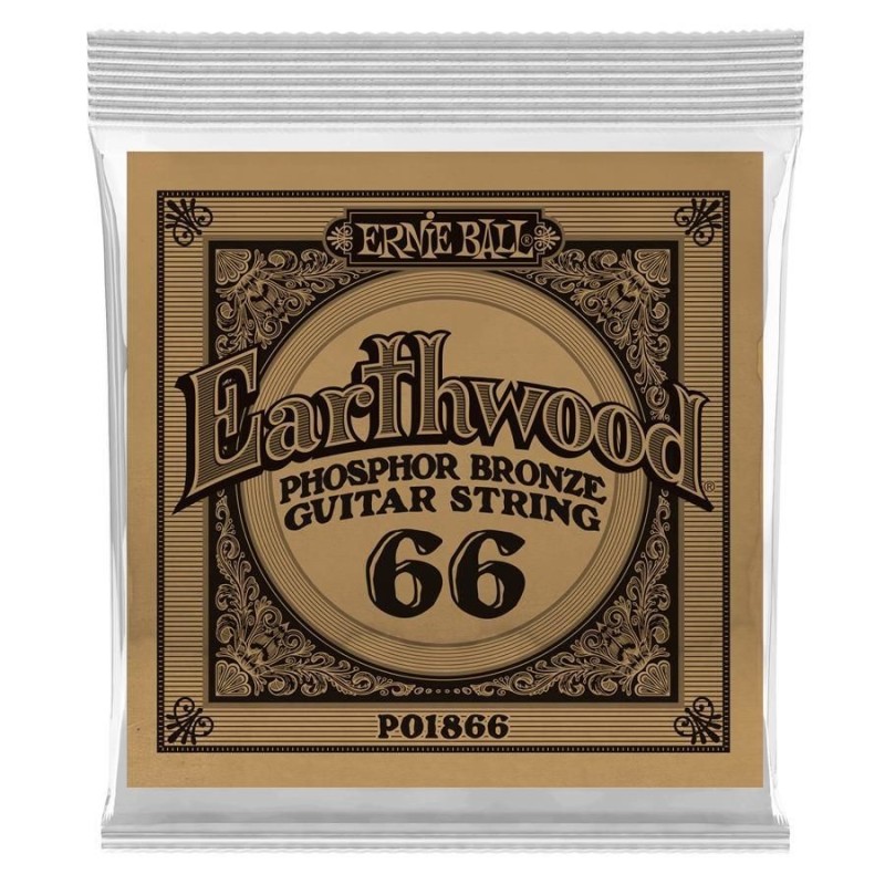 Ernie Ball 1866 66 Earthwood
