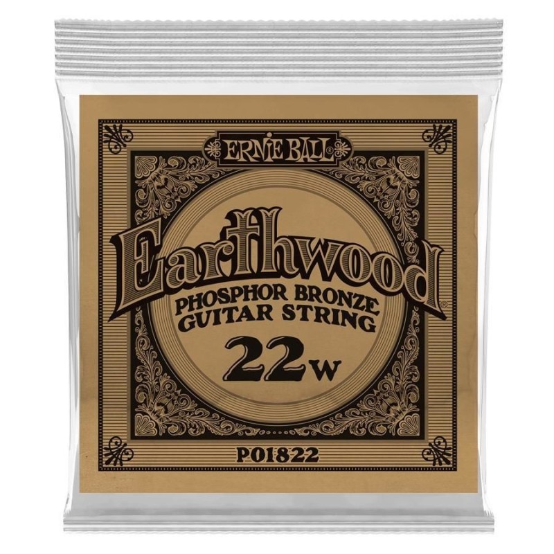 Ernie Ball 1822 22 Earthwood