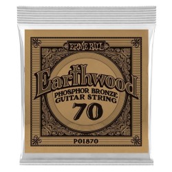 Ernie Ball 1870 70 Earthwood