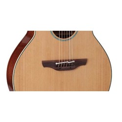 Takamine TSF40C