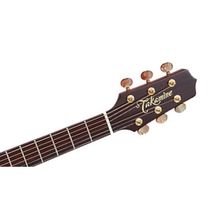 Takamine TSF40C