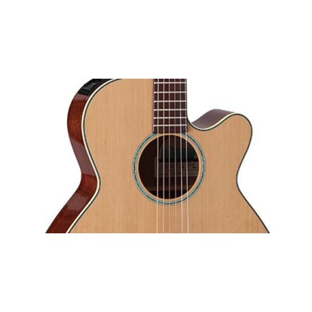 Takamine TSF40C