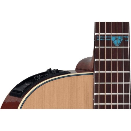 Takamine TSF40C