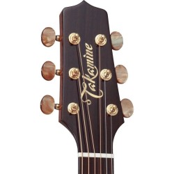 Takamine TSF40C