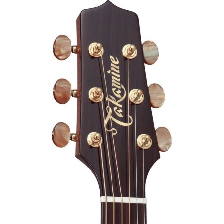 Takamine TSF40C
