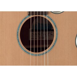 Takamine TSF40C