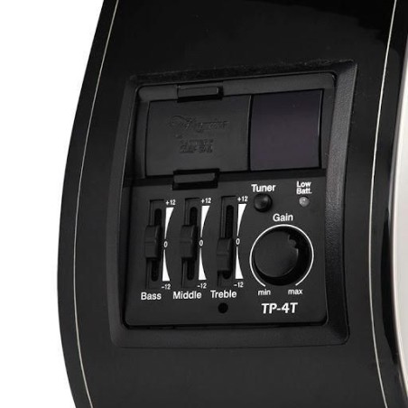 Takamine GD15CE-BLK