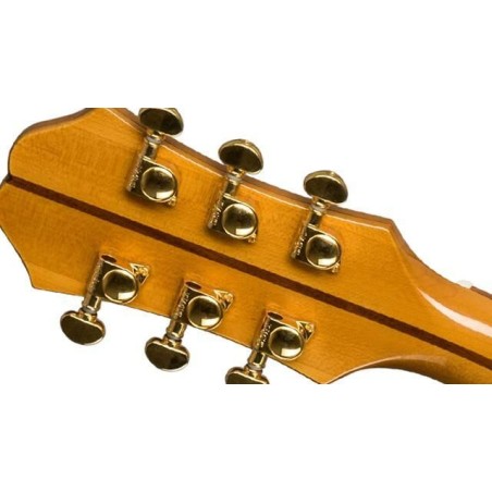 Epiphone EJ-200 Coupe Vintage Natural