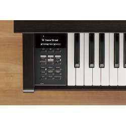 Kawai CN39B